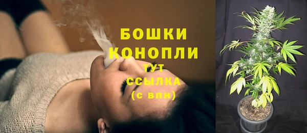 гидра Богородицк