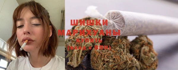СК Богородск
