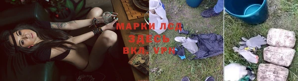 СК Богородск