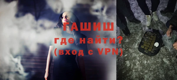 гидра Богородицк