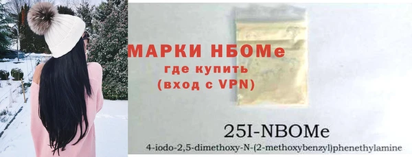 гидра Богородицк