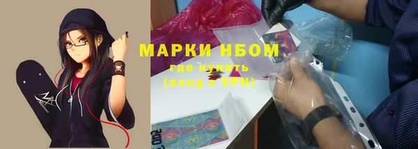 индика Белоозёрский