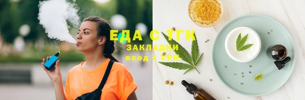 гидра Богородицк
