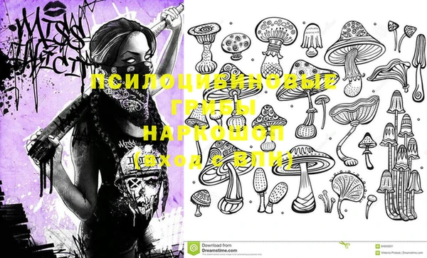 марки nbome Беломорск