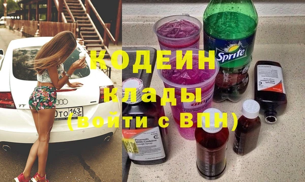 гидра Богородицк