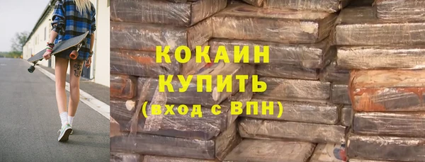 гидра Богородицк