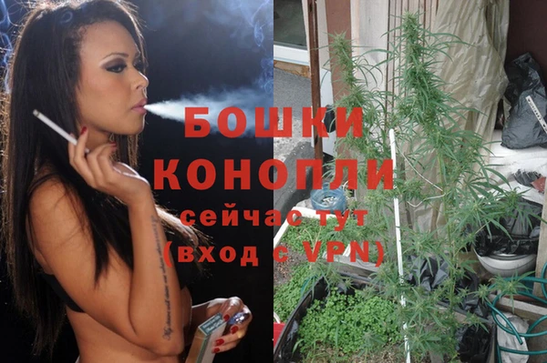 гидра Богородицк