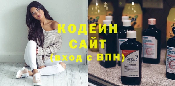 гидра Богородицк