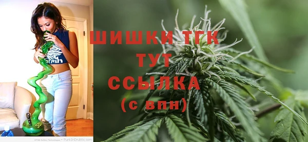ECSTASY Белокуриха