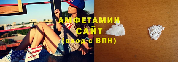 гидра Богородицк