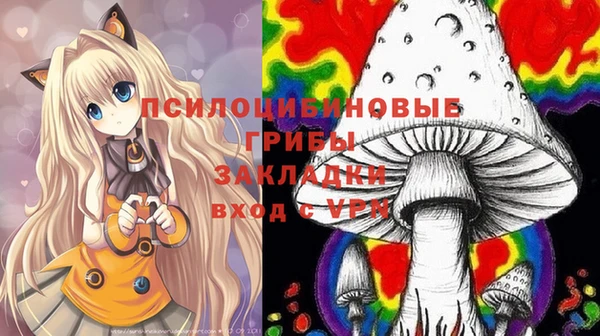 гидра Богородицк