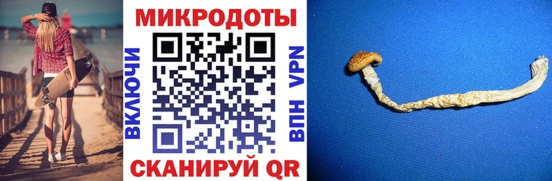 Галлюциногенные грибы Magic Shrooms  сколько стоит  Болгар 