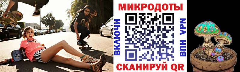 Псилоцибиновые грибы GOLDEN TEACHER Болгар