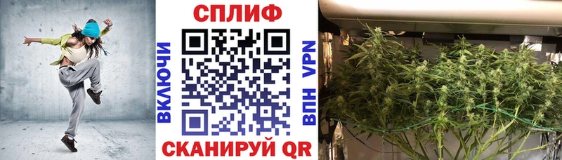 Шишки марихуана Bruce Banner  Болгар 